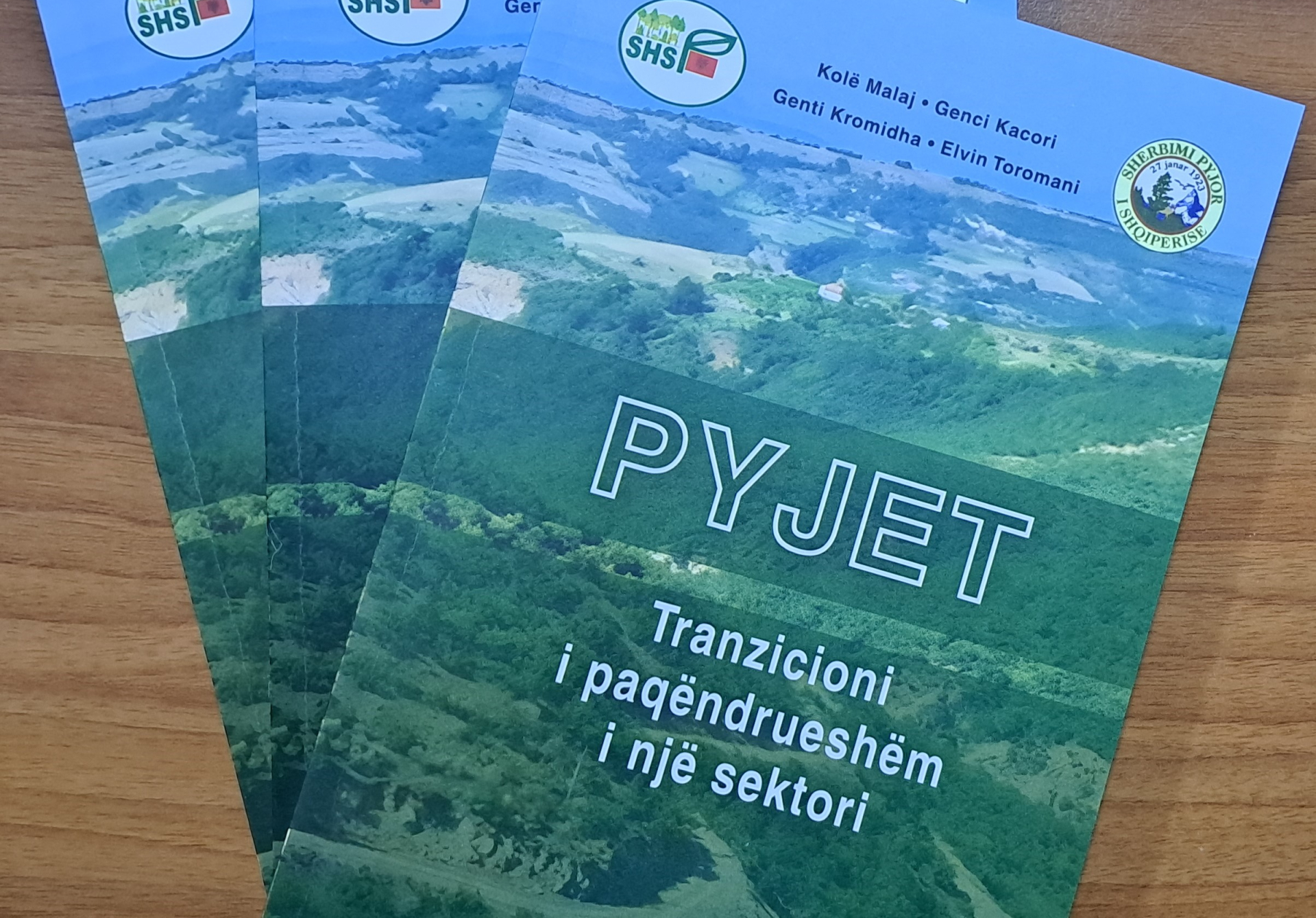 Pyjet - tranzicioni i paqëndrueshëm i një sektori